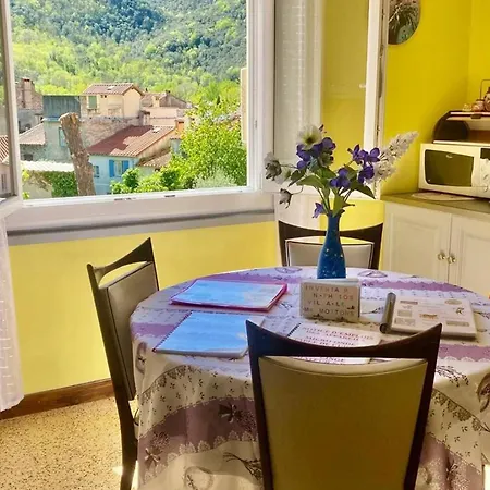 Apartmán Accueillant Avec Parking, Animaux Ok - Fr-1-703-230 Arles-sur-Tech